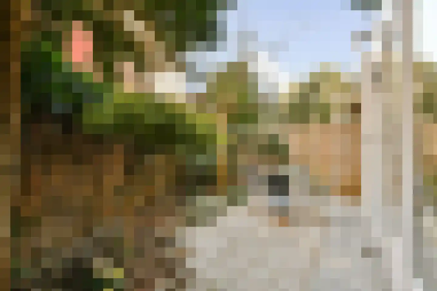 Borneostraat 1 B Amsterdam thumbnail 9