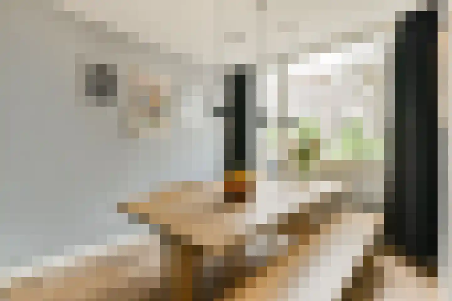 Borneostraat 1 C Amsterdam thumbnail 12