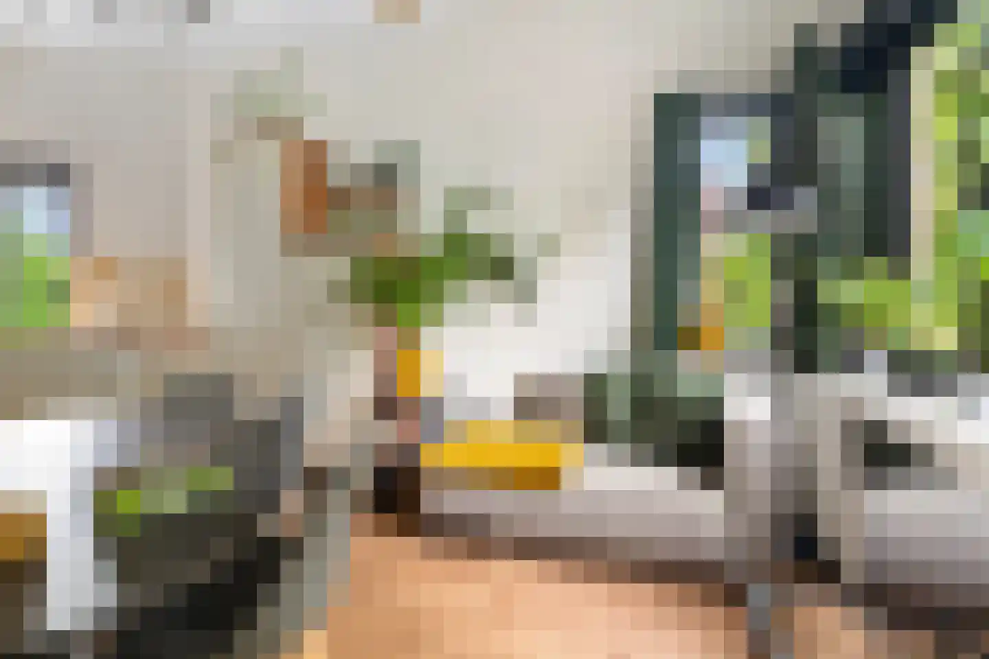 Borneostraat 1 C Nijmegen thumbnail 11