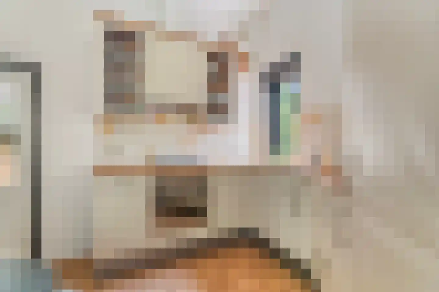 Borneostraat 1 C Nijmegen thumbnail 13