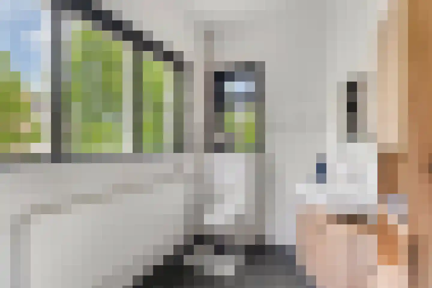 Borneostraat 1 C Nijmegen thumbnail 21