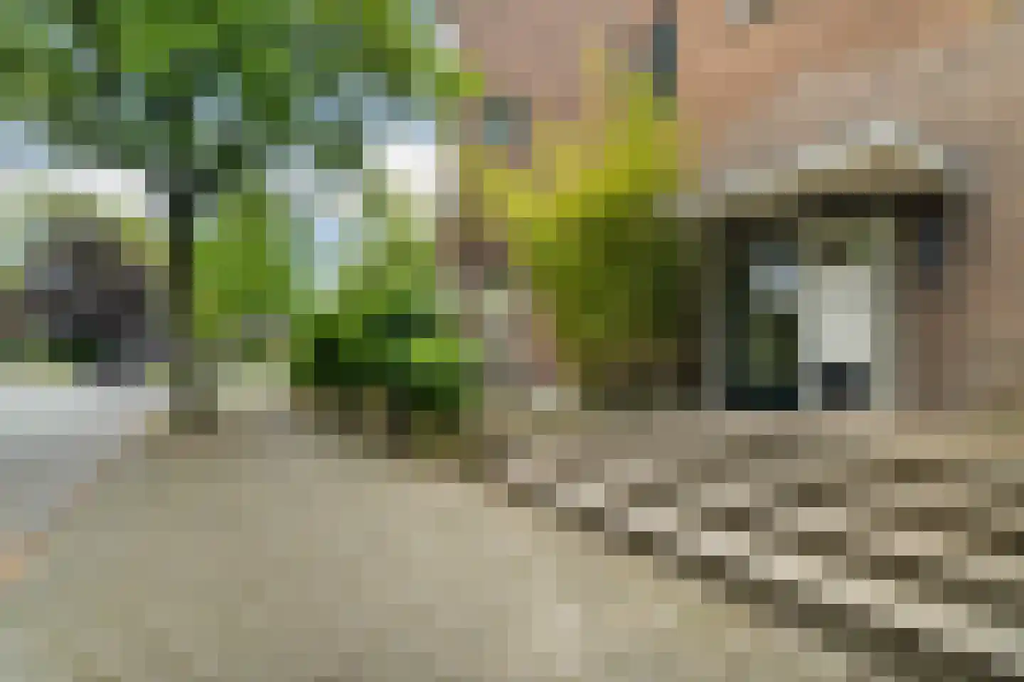 Borneostraat 1 C Nijmegen thumbnail 28