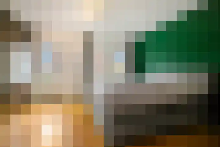 Borneostraat 1 's-Hertogenbosch thumbnail 21