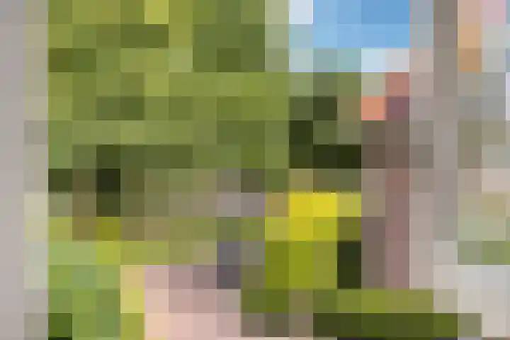 Borneostraat 1 's-Hertogenbosch thumbnail 24
