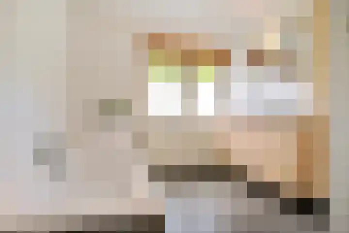 Borneostraat 1 's-Hertogenbosch thumbnail 25
