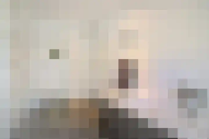 Borneostraat 1 's-Hertogenbosch thumbnail 26