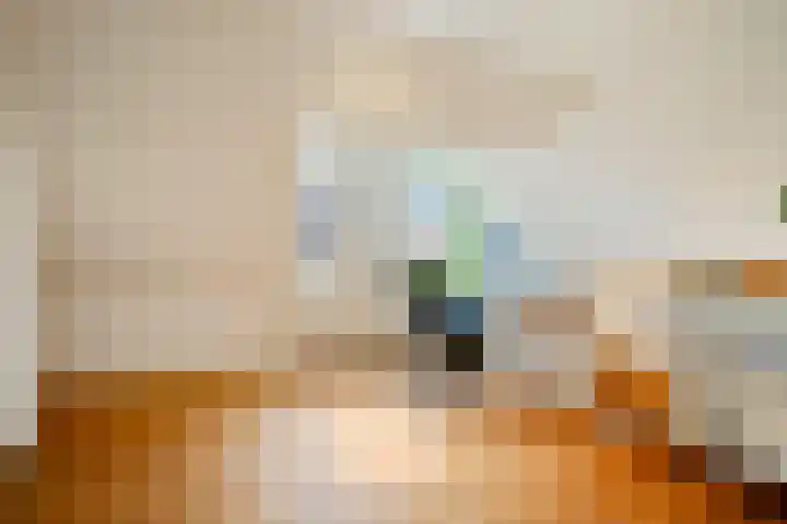Borneostraat 1 's-Hertogenbosch thumbnail 30