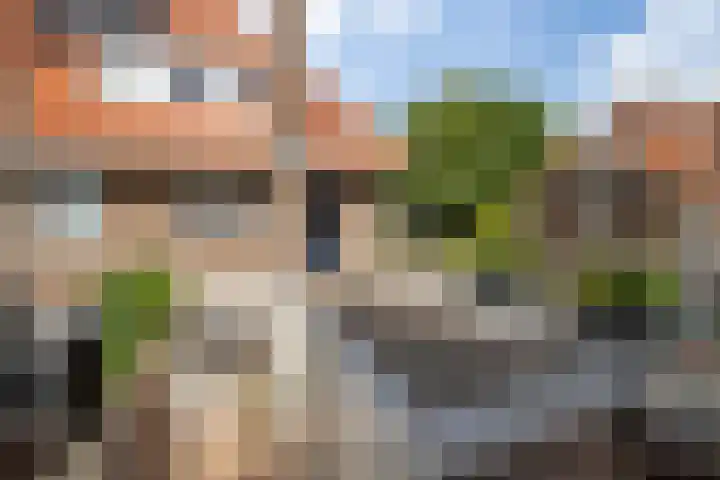Borneostraat 1 's-Hertogenbosch thumbnail 36