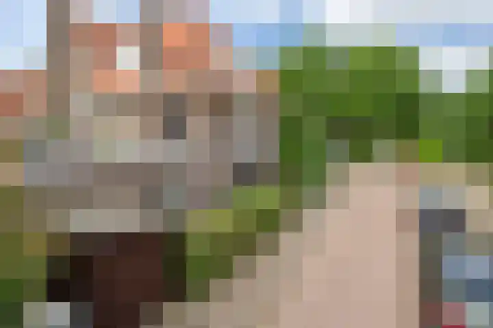 Borneostraat 1 's-Hertogenbosch thumbnail 37