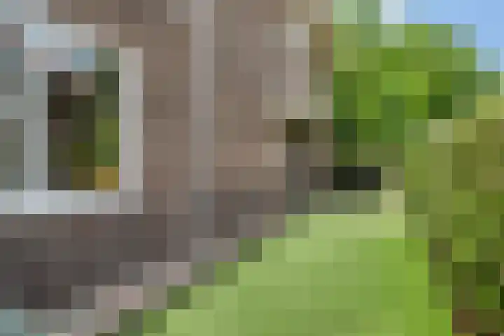 Borneostraat 1 's-Hertogenbosch thumbnail 39