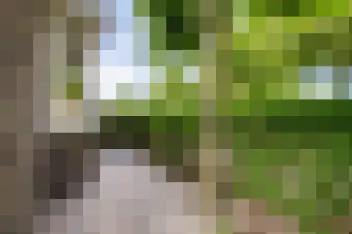 Borneostraat 1 's-Hertogenbosch thumbnail 40