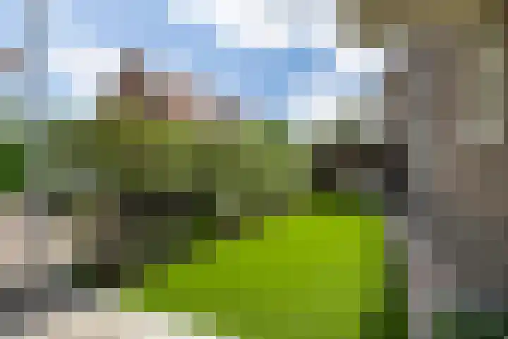 Borneostraat 1 's-Hertogenbosch thumbnail 41