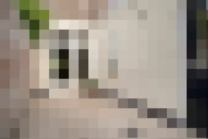 Borneostraat 1 's-Hertogenbosch thumbnail 43