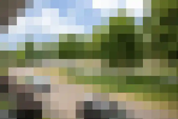 Borneostraat 1 's-Hertogenbosch thumbnail 45