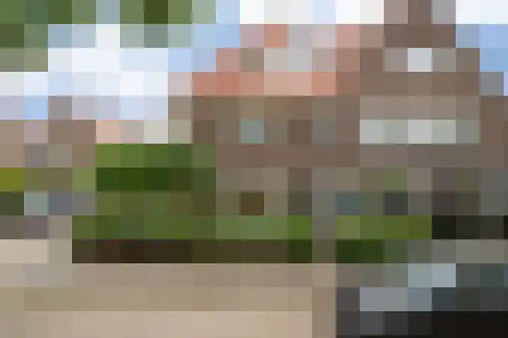 Borneostraat 1 's-Hertogenbosch thumbnail 47