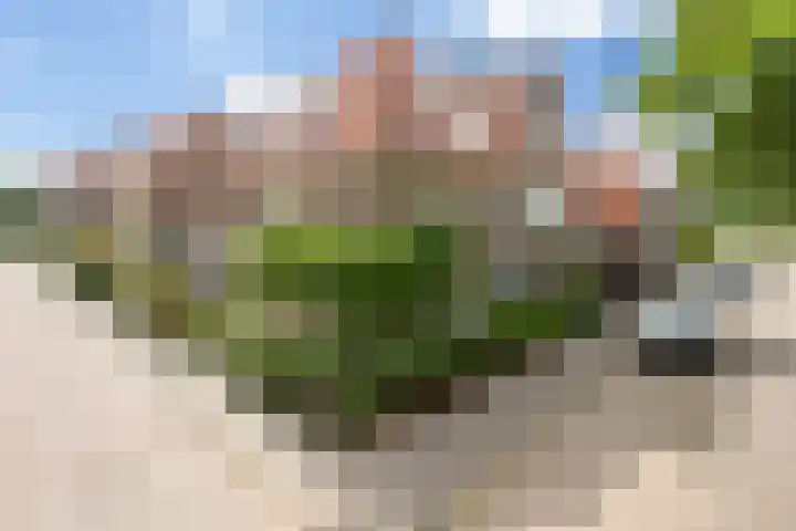Borneostraat 1 's-Hertogenbosch thumbnail 48