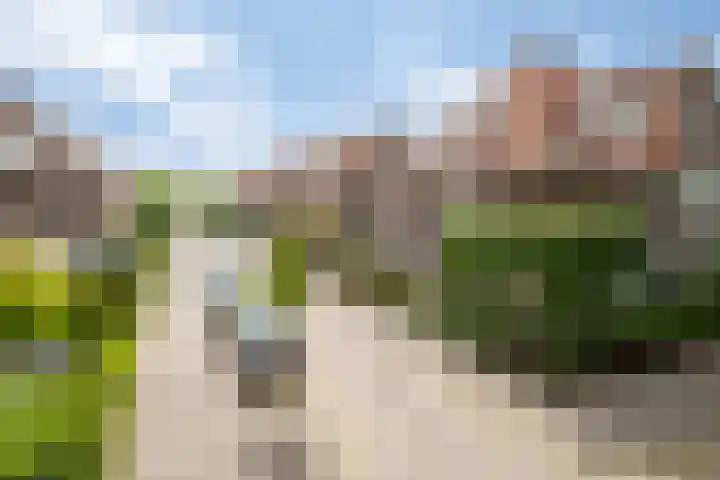 Borneostraat 1 's-Hertogenbosch thumbnail 49