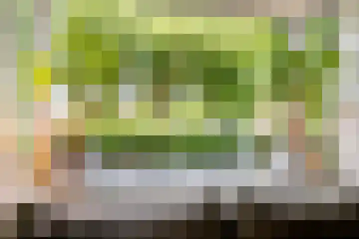 Borneostraat 1 's-Hertogenbosch thumbnail 5
