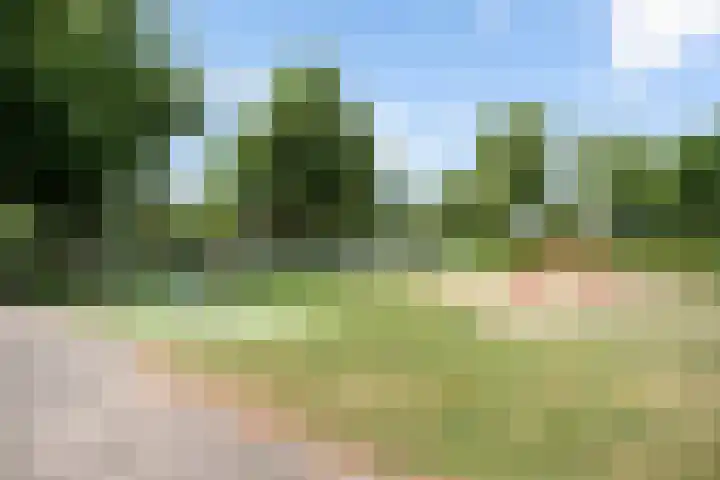 Borneostraat 1 's-Hertogenbosch thumbnail 50