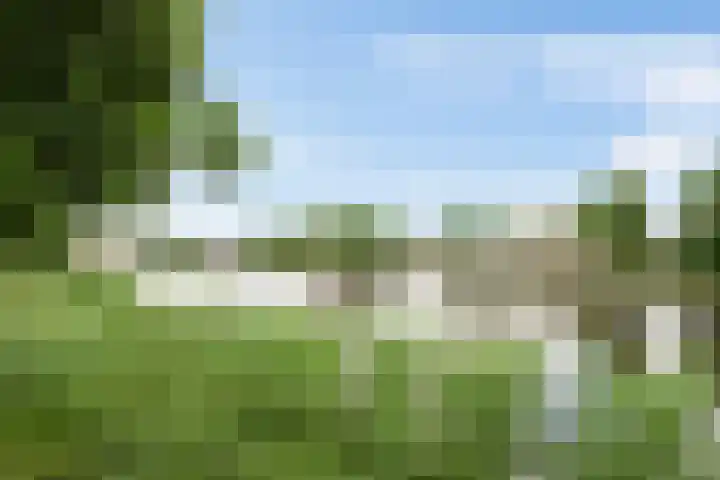 Borneostraat 1 's-Hertogenbosch thumbnail 51