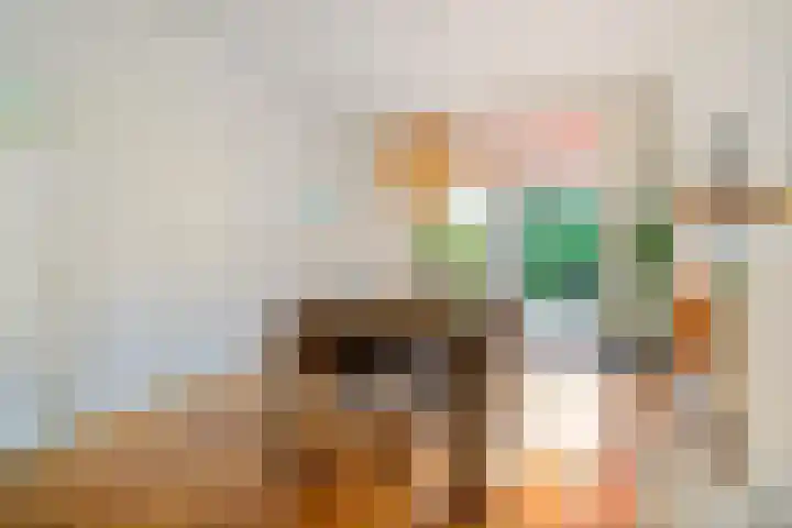 Borneostraat 1 's-Hertogenbosch thumbnail 6