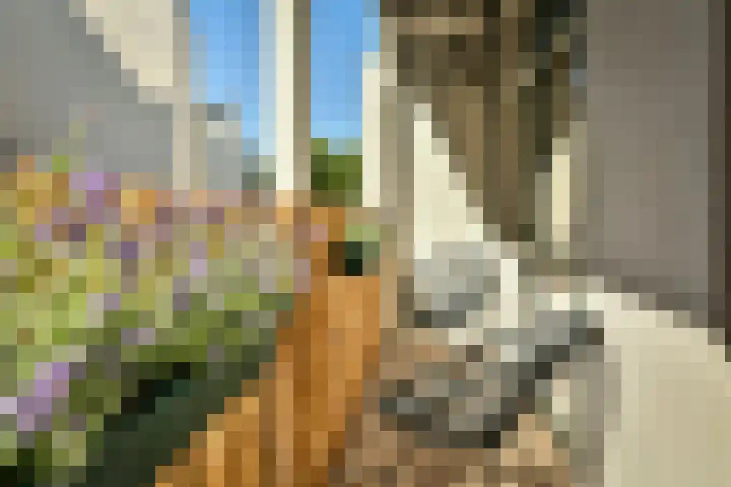 Borneostraat 100 1 Amsterdam thumbnail 18