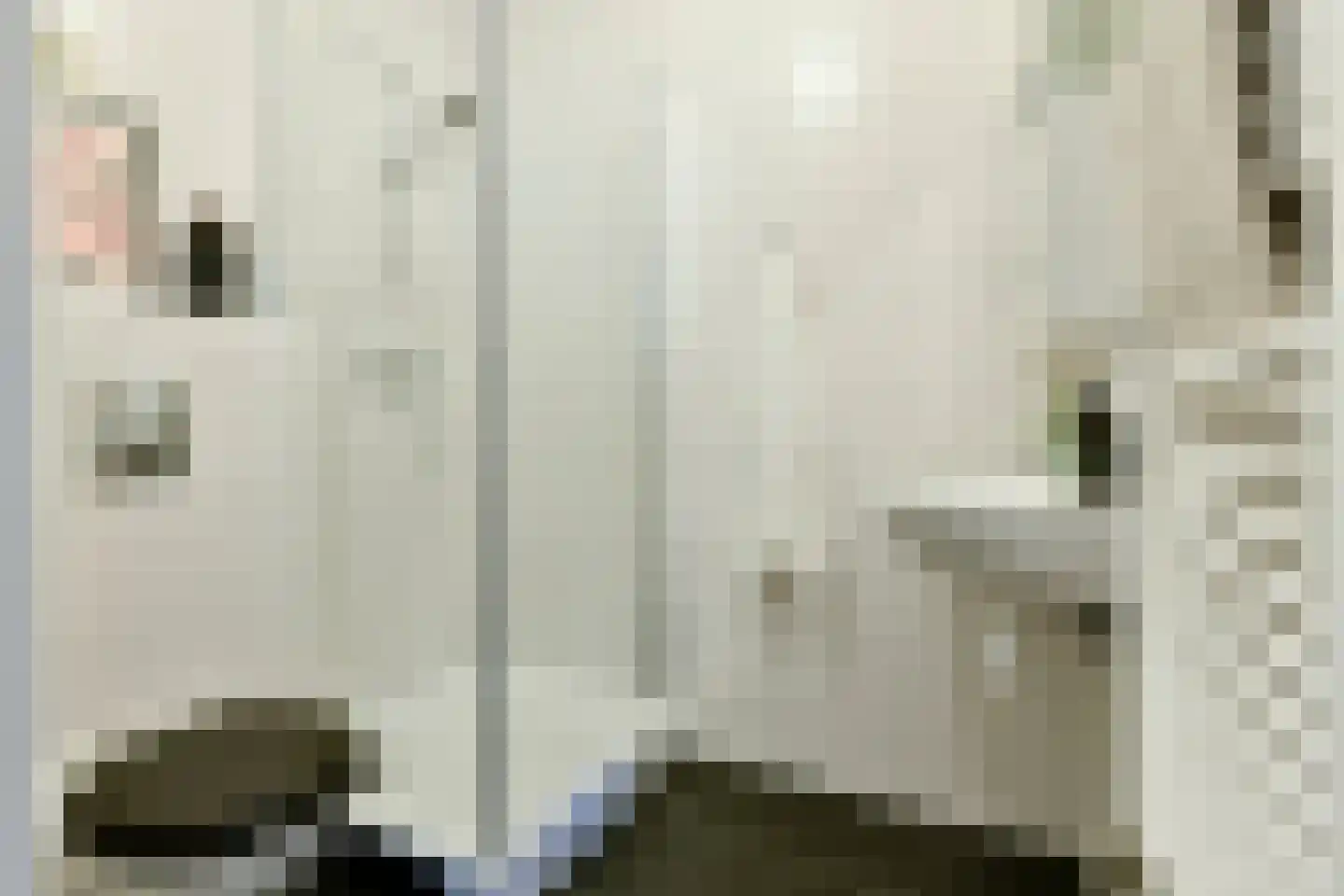 Borneostraat 100 1 Amsterdam thumbnail 20