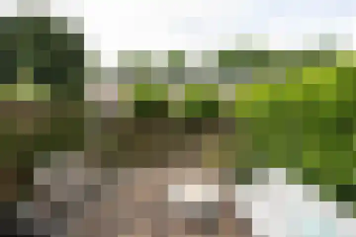 Borneostraat 15 Alphen aan den Rijn thumbnail 22