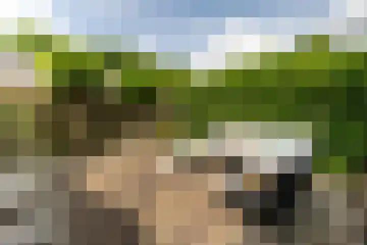 Borneostraat 15 Alphen aan den Rijn thumbnail 23