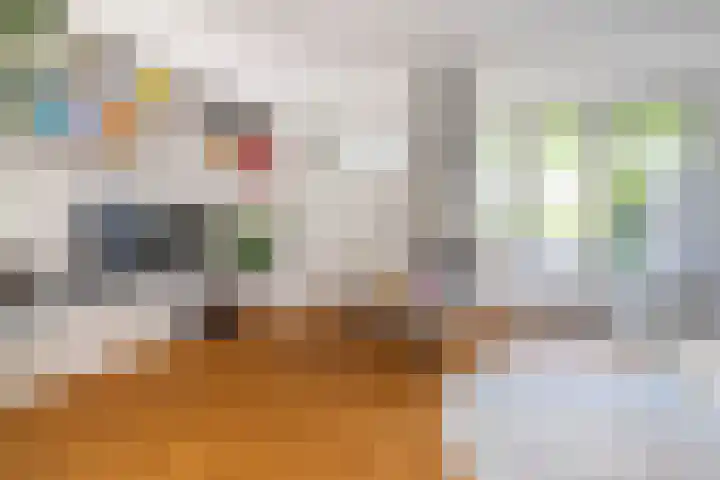 Borneostraat 15 Alphen aan den Rijn thumbnail 5