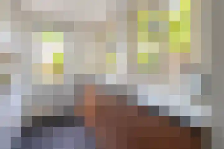 Borneostraat 15 Alphen aan den Rijn thumbnail 8