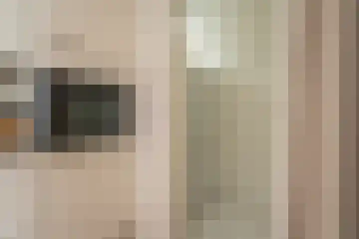 Borneostraat 15 Oegstgeest thumbnail 10