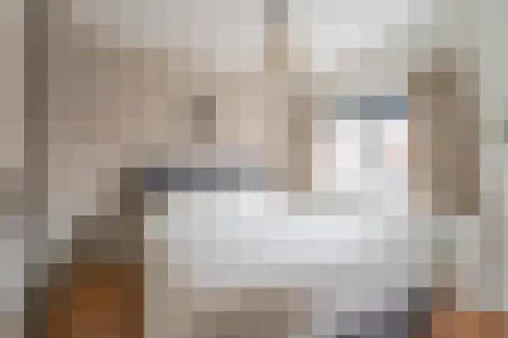 Borneostraat 15 Oegstgeest thumbnail 17