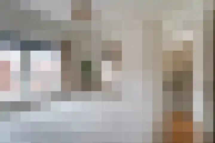 Borneostraat 15 Oegstgeest thumbnail 18