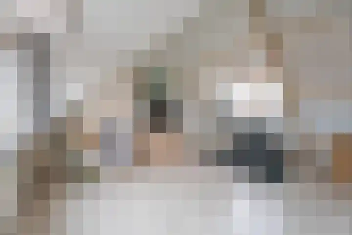 Borneostraat 15 Oegstgeest thumbnail 23