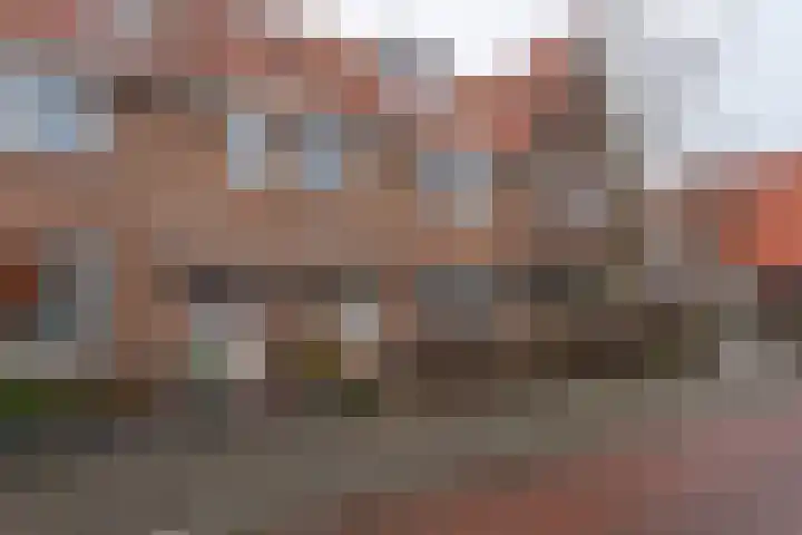 Borneostraat 15 Oegstgeest thumbnail 28