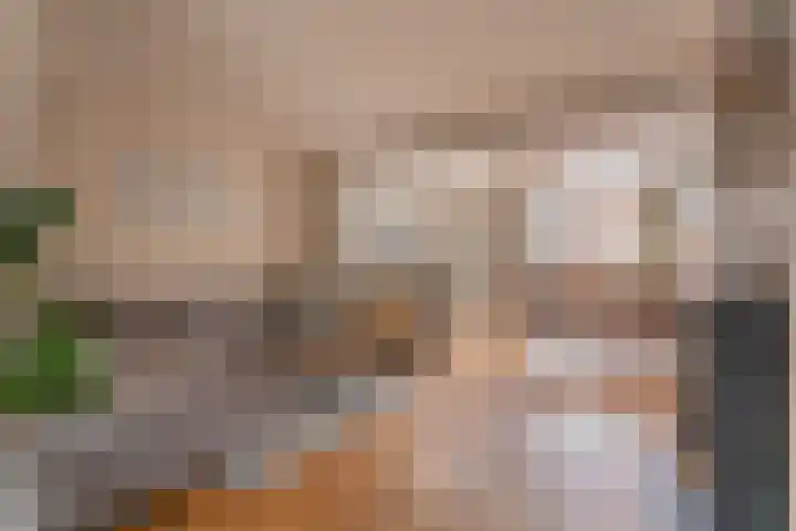 Borneostraat 15 Oegstgeest thumbnail 4