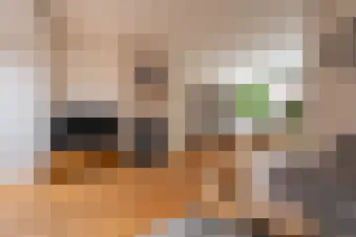 Borneostraat 15 Oegstgeest thumbnail 5