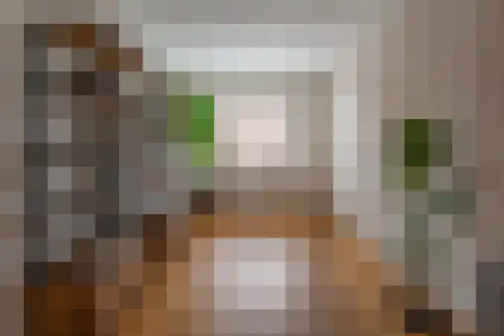 Borneostraat 15 Oegstgeest thumbnail 6