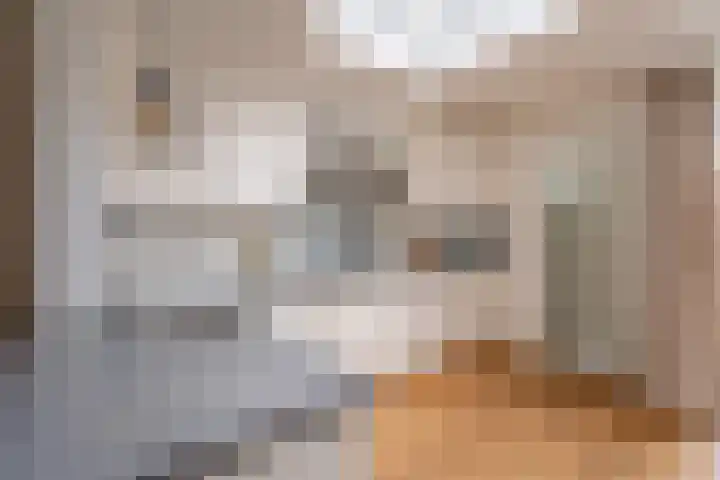 Borneostraat 15 Oegstgeest thumbnail 8