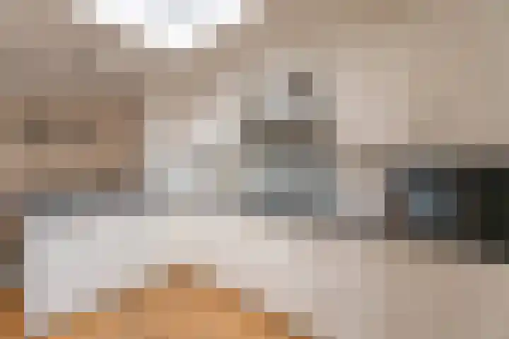 Borneostraat 15 Oegstgeest thumbnail 9