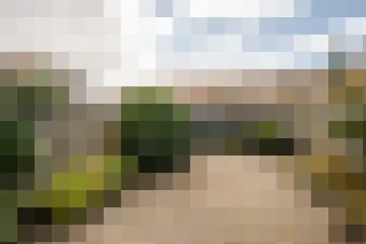 Borneostraat 16 Heemstede thumbnail 13