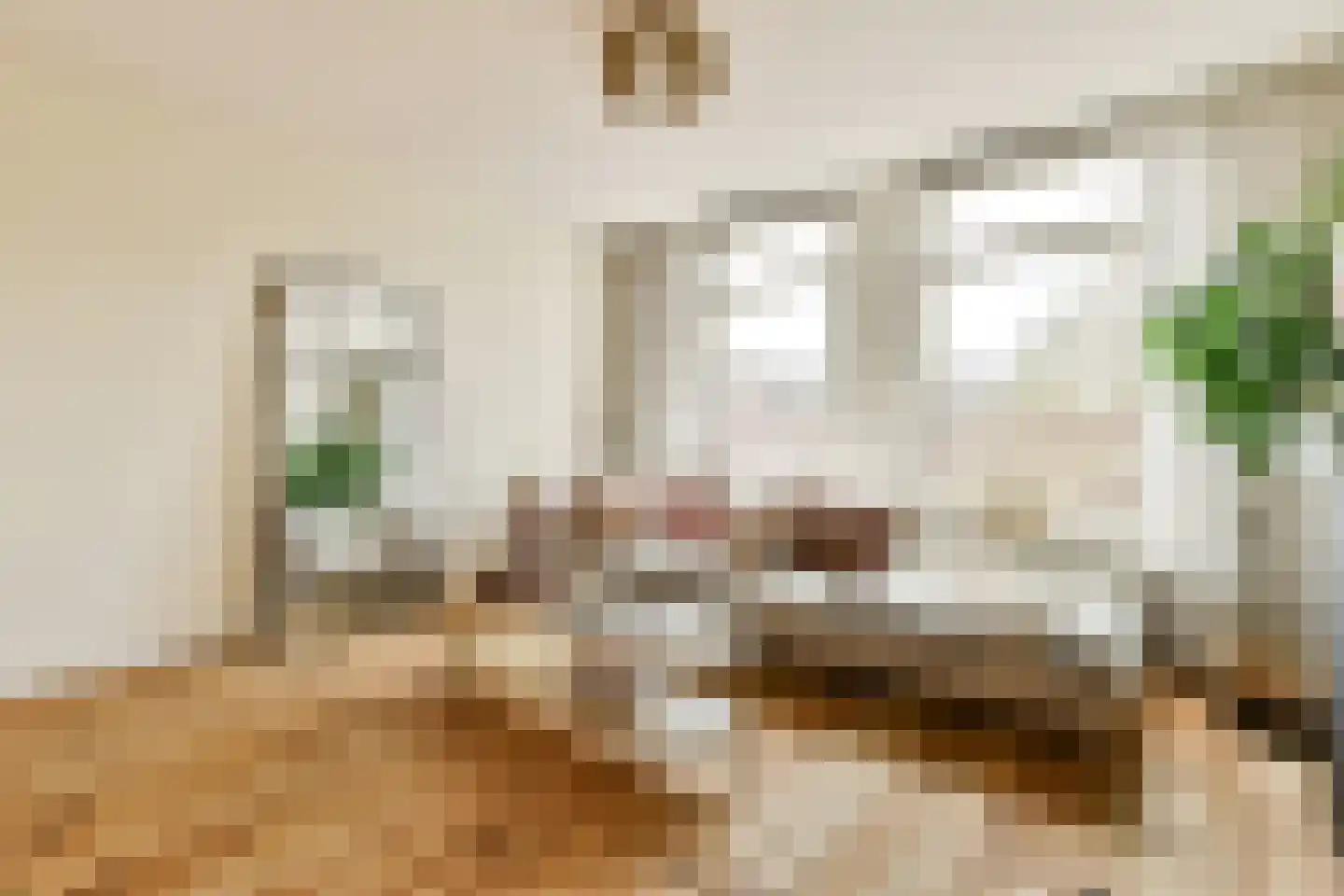 Borneostraat 17 3 in Amsterdam