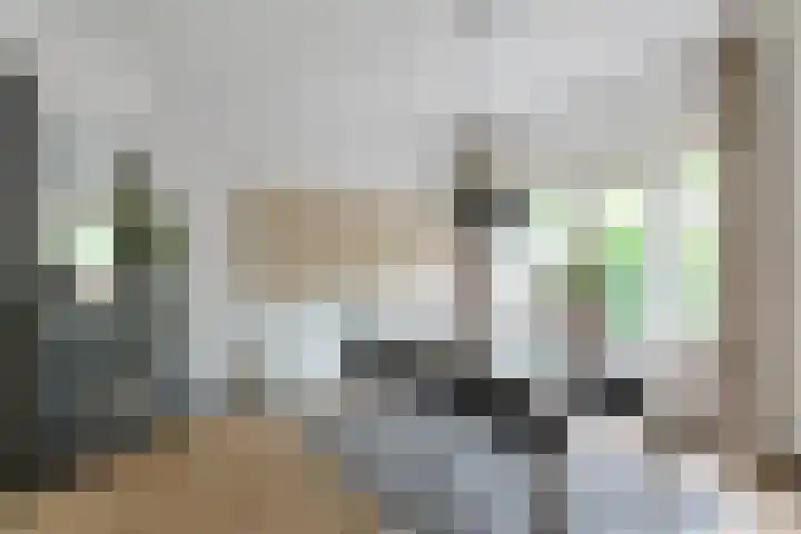 Borneostraat 17 Alphen aan den Rijn thumbnail 17