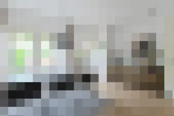 Borneostraat 17 Alphen aan den Rijn thumbnail 18