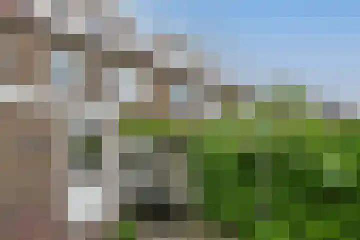 Borneostraat 17 Alphen aan den Rijn thumbnail 47