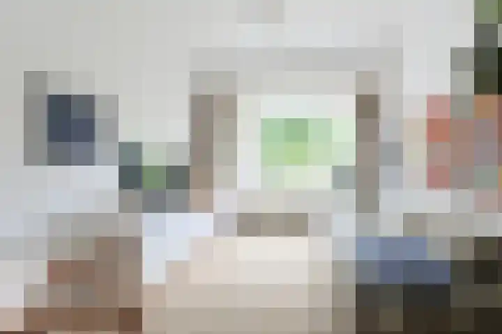 Borneostraat 17 Alphen aan den Rijn thumbnail 8