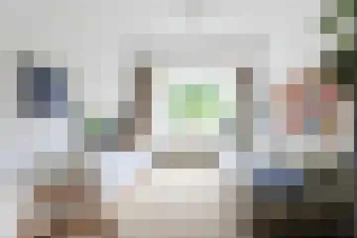 Borneostraat 17 Alphen aan den Rijn thumbnail 9