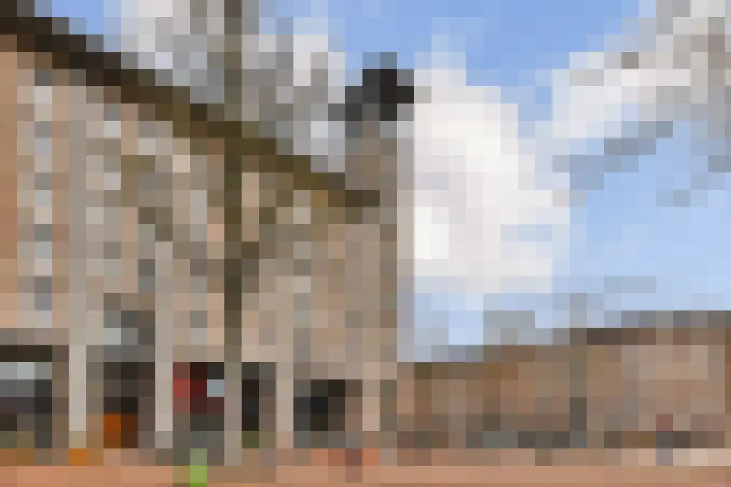 Borneostraat 17 H Amsterdam thumbnail 15