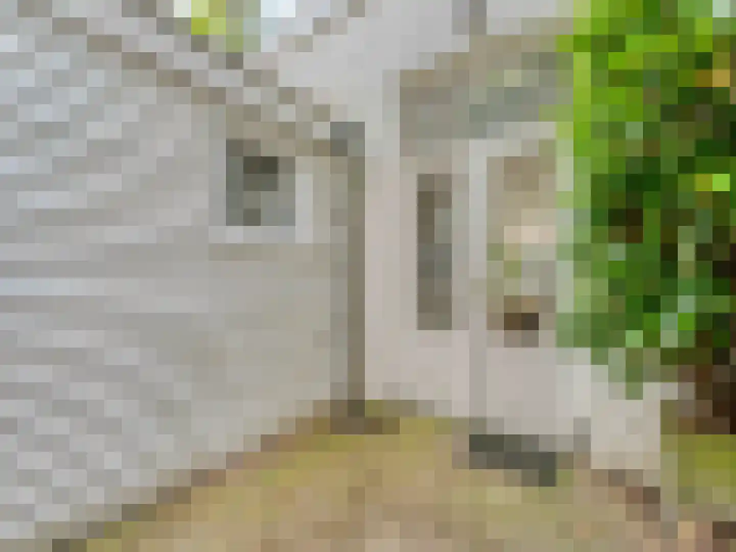 Borneostraat 17 Utrecht thumbnail 15